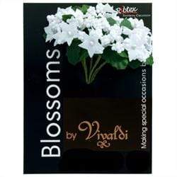 AussieSuperStore Art & Craft Essentials White Foam Spray with Pearl (in 2 colors) Foam Spray with Pearl | Floral Craft Supplies | Floral Embellishments 9323823174750 FLFMB13